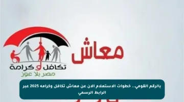 بالرقم القومي.. خطوات الاستعلام الآن عن معاش تكافل وكرامة 2025 عبر الرابط الرسمي
